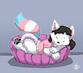 Dog Bed!&nbsp;&nbsp;Fox Bed? by HouseOsva