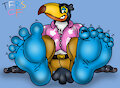 Mateus toucan Soles by TheRedSkunk