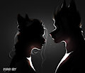 Furry couple in the dark