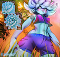 Plant girl Echeveria Blue Star