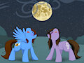 Bathed in the Moonlight