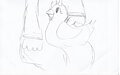 A cute chicken by orchua