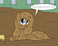 Rarijack want to get muddy 3