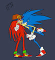 Sonic x Knux by SmusserD