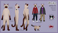 Ref Sheet - Haika the Siamese Cat