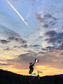 Juillet