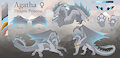 Reference Comm | Dragon Princess by RinChi