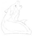 Huion Test sketch 