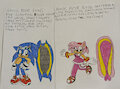 Riders Sonic and Amy by PrincessShannon