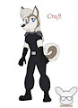Team Momo - Craft the Husky Dog