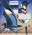 Design Comish - Orion by TwilightSaint