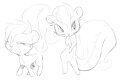 skunk by felinepus