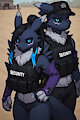 Packet and Cipher