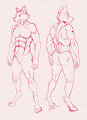 front and back 3/4 sketches by kitsuneismything