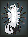 divinity fret (Ermine) by FrickenStoat