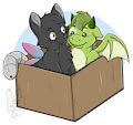 Kitty and Dragon in a Box