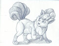 Refined Sketch: Curious Fox by Lucern7