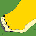 Footsie by Fur915