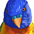 bird by DTPTR