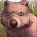 Wombat Icon 1 (vombatiformes) by MistressSparkles