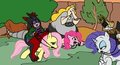 MLP Collab