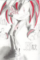 Rai The Hedgehog