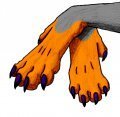 Paws 