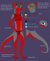 Sage ref sheet 