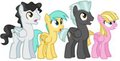 What In The Hay by MissyTheUnicorn
