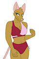 Sorley Swimsuit