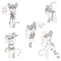 Marigold Mouse [C] by NekoStar