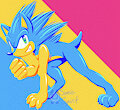 Pan Sonic by SonicSpirit