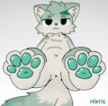 Mint Paws by Mintis