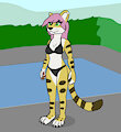 meow by Telefon