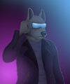 Shades by Rahir