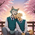 Cherry Blossoms by Barclay