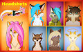 Taking Headshot Commissions