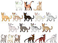 Warrior Cat Clan Adopt [OPEN] by Werewolfbusiness