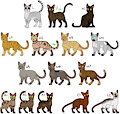 Warrior Cat Clan Adopt [OPEN] by Werewolfbusiness