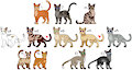 Warrior Cat Clan Adopt [OPEN] by Werewolfbusiness