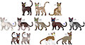 Warrior Cat Clan Adopt [OPEN] by Werewolfbusiness