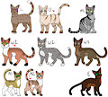 Warrior Cat Clan Adopt [OPEN] by Werewolfbusiness