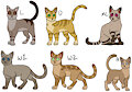 Warrior Cat Clan Adopt [OPEN] by Werewolfbusiness