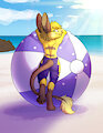 [COM] Nice Beach Day