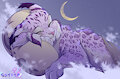 Sweet dream by Shyryp