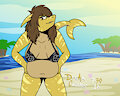 Xera Shark