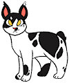 C : J4-coltrain