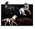 OPEN // AUCTION by somnoire