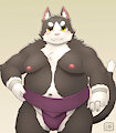 Sumo cat by ShinodaKuma