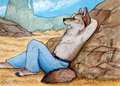 His Backyard by -Yote- 